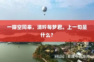 一瓣空同奉，清吟每梦君。上一句是什么？
