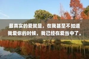 最真实的爱就是，在我甚至不知道我爱你的时候，我已经在爱当中了。