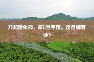 乃知造化神，兹寔亘宇宙。出自哪首诗？