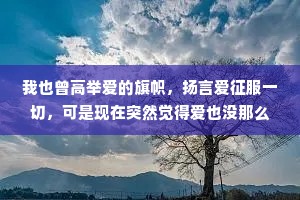 我也曾高举爱的旗帜，扬言爱征服一切，可是现在突然觉得爱也没那么重要了，还不如好好睡一觉来得踏实。