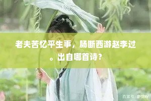 老夫苦忆平生事,肠断西游赵李过。出自哪首诗? 老夫苦忆平生事,肠断西游赵李过。出自哪首诗?