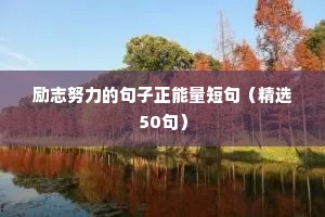 励志努力的句子正能量短句（精选50句）