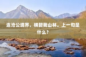 连沧公境界，横碧我山林。上一句是什么？