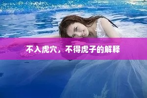 不入虎穴，不得虎子的解释