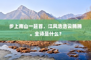 步上南山一延首，江风浩浩云腾腾。全诗是什么？