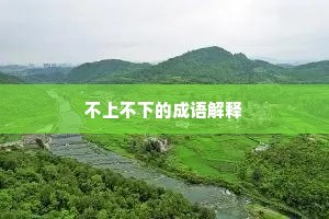 不上不下的成语解释
