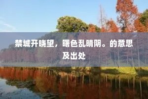 禁城开晓望，曙色乱晴阴。的意思及出处