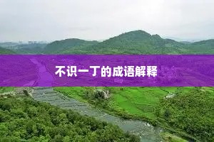 不识一丁的成语解释