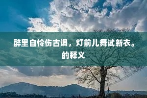 醉里自怜伤古调，灯前儿舞试新衣。的释义