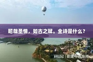 昭哉圣情，如古之赋。全诗是什么？