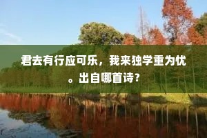 君去有行应可乐，我来独学重为忧。出自哪首诗？
