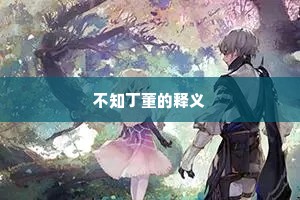 不知丁董的释义