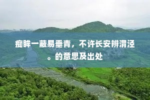 痴眸一蔽易垂青，不许长安辨渭泾。的意思及出处