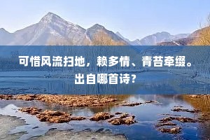 可惜风流扫地，赖多情、青苔牵缀。出自哪首诗？