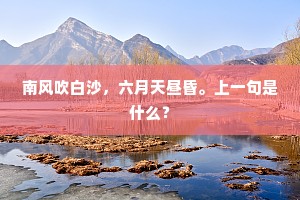 南风吹白沙，六月天昼昏。上一句是什么？