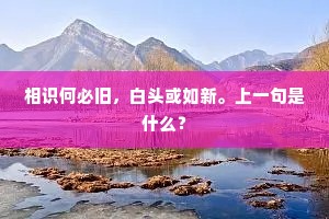 相识何必旧，白头或如新。上一句是什么？