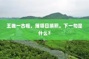 王畿一古枢，簿领日填积。下一句是什么？