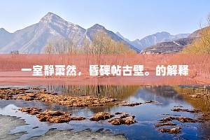 一室静萧然，昏碑帖古壁。的解释