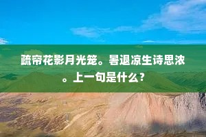 疏帘花影月光笼。暑退凉生诗思浓。上一句是什么？