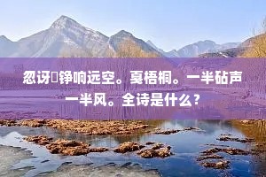 忽讶鏦铮响远空。戛梧桐。一半砧声一半风。全诗是什么？