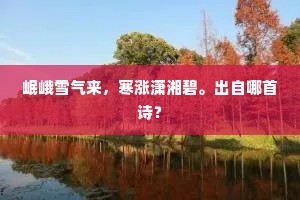 岷峨雪气来，寒涨潇湘碧。出自哪首诗？