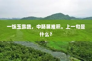 一饭玉露蔬，中肠展堆积。上一句是什么？