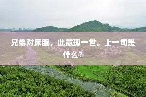 兄弟对床眠，此意孤一世。上一句是什么？