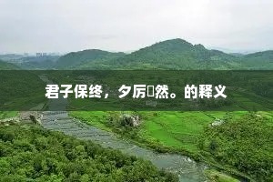 君子保终，夕厉愓然。的释义