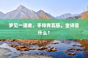 梦见一道者，手持青瓦砾。全诗是什么？