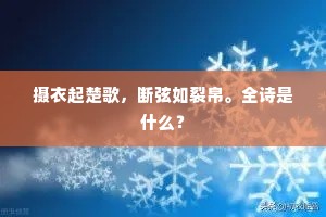 摄衣起楚歌，断弦如裂帛。全诗是什么？