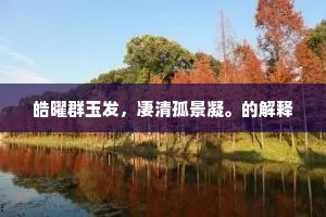 皓曜群玉发，凄清孤景凝。的解释
