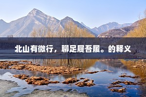 北山有微行，聊足屣吾履。的释义