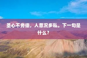 圣心不务德，人意况多私。下一句是什么？