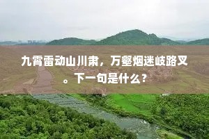 九霄雷动山川肃，万壑烟迷岐路叉。下一句是什么？