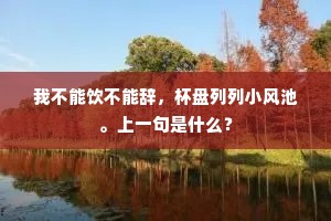 我不能饮不能辞，杯盘列列小风池。上一句是什么？