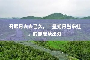 开眼月去去已久，一星如月当东挂。的意思及出处