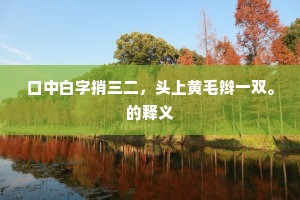 口中白字捎三二，头上黄毛辫一双。的释义