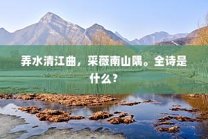 弄水清江曲，采薇南山隅。全诗是什么？