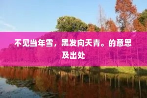 不见当年雪，黑发向天青。的意思及出处