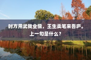 时方用武我业儒，王生卖笔来吾庐。上一句是什么？