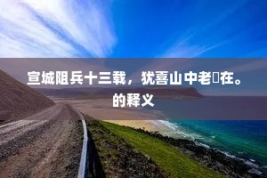 宣城阻兵十三载，犹喜山中老㕙在。的释义
