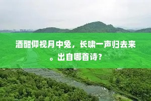 酒酣仰视月中兔，长啸一声归去来。出自哪首诗？