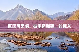 区区可无憾，彼重适我轻。的释义