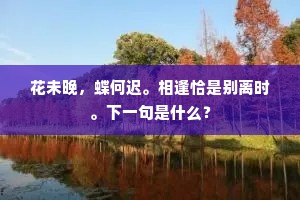 花未晚，蝶何迟。相逢恰是别离时。下一句是什么？