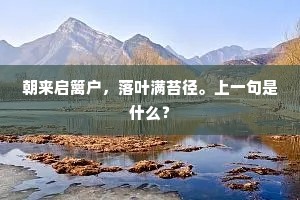 朝来启篱户，落叶满苔径。上一句是什么？