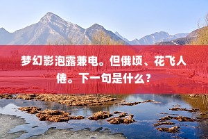 梦幻影泡露兼电。但俄顷、花飞人倦。下一句是什么？