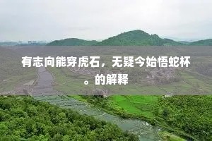 有志向能穿虎石，无疑今始悟蛇杯。的解释