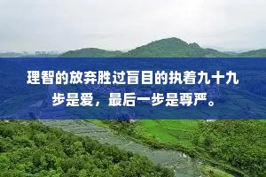 理智的放弃胜过盲目的执着九十九步是爱，最后一步是尊严。