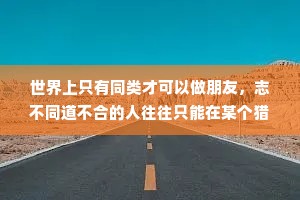 世界上只有同类才可以做朋友，志不同道不合的人往往只能在某个猎奇的时间里做一阵子开心的同伴。被时间的洪水淘过，最终仍然堆在一起的，一定是同样材质的小石头。