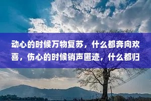 动心的时候万物复苏，什么都奔向欢喜，伤心的时候销声匿迹，什么都归于叹息。